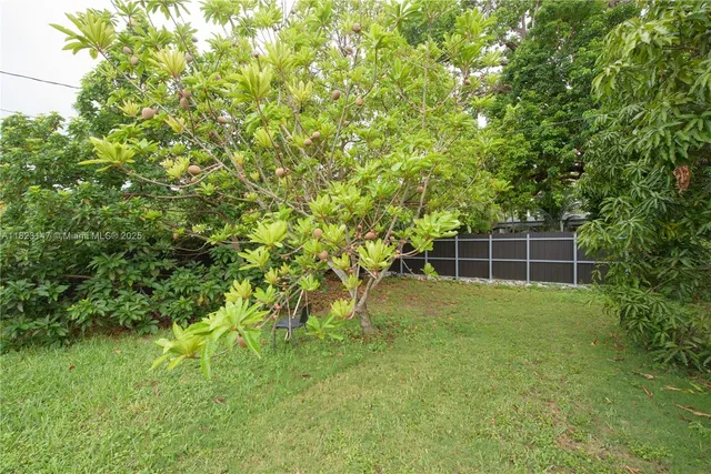 a view of outdoor space and yard