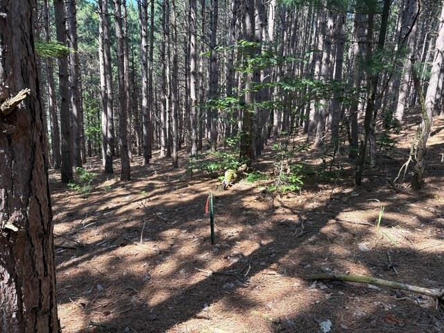 Erdt Road Suttons Bay, MI 49682 - Photo 29 of 36 Gallery Image 29