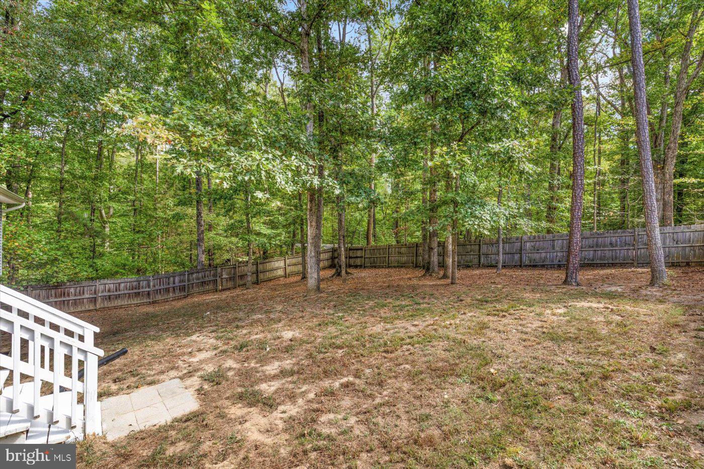 975 Swan Lane Ruther Glen, VA 22546 - Photo 5 of 42 a view of a yard with trees