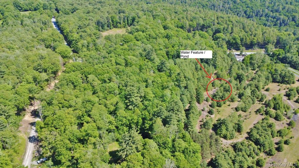 Marsh Road Fallsburg, NY 12733 - Photo 7 of 20
