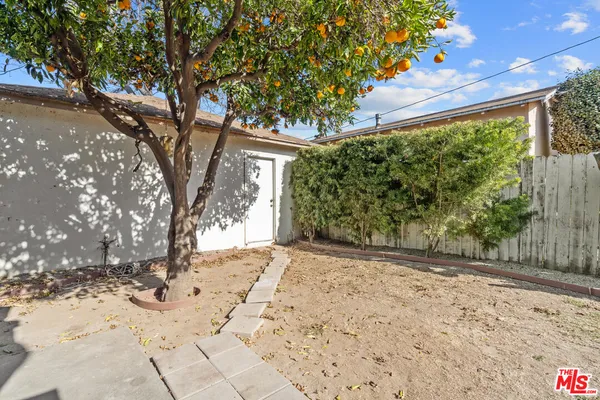 a view of a yard with a tree