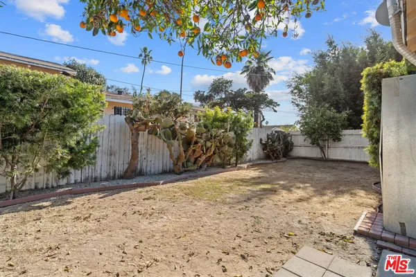 a view of a yard with an tree