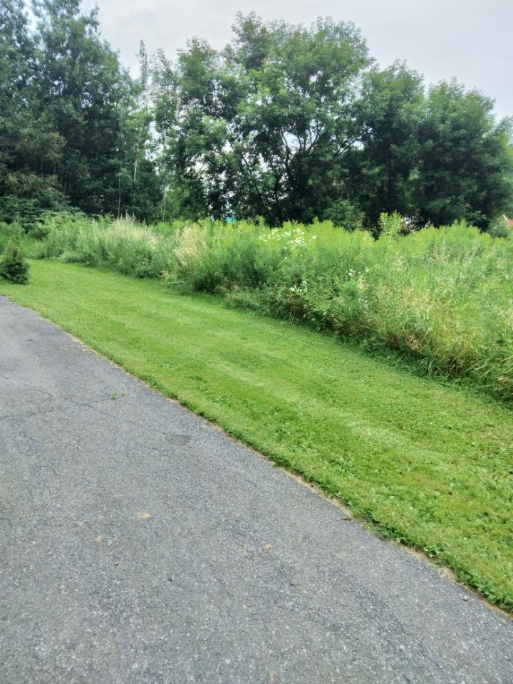 3043 West Chapman Road Mapleton, ME 04757 - Photo 6 of 29 Resized_20230727_163532