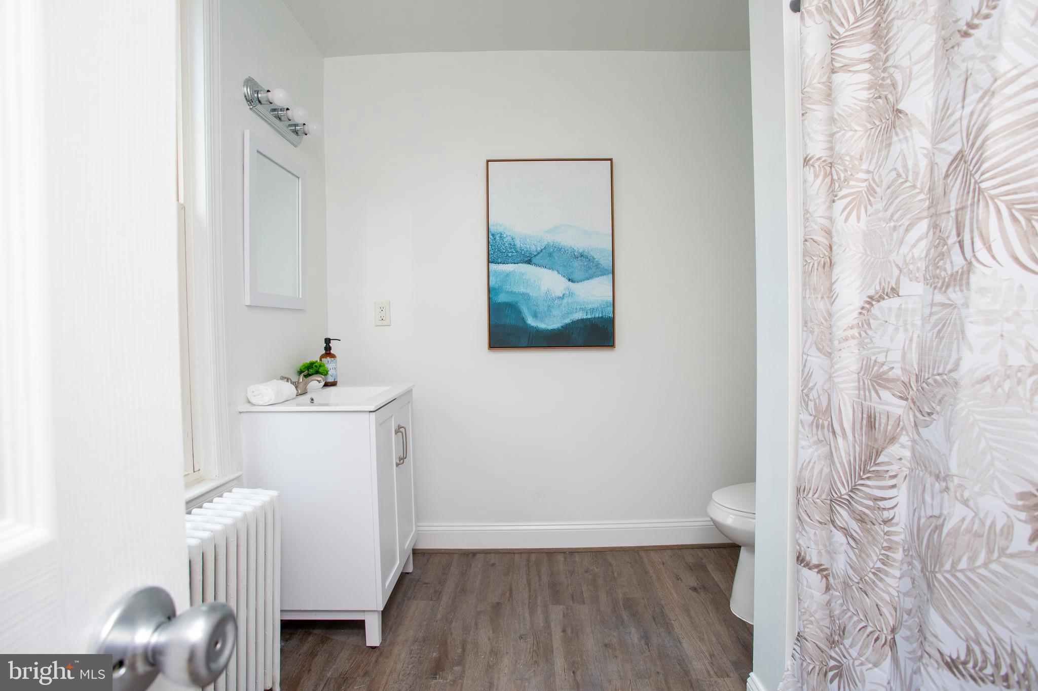 4608 Ridgeway Avenue Baltimore, MD 21206 - Photo 15 of 20 Bathroom