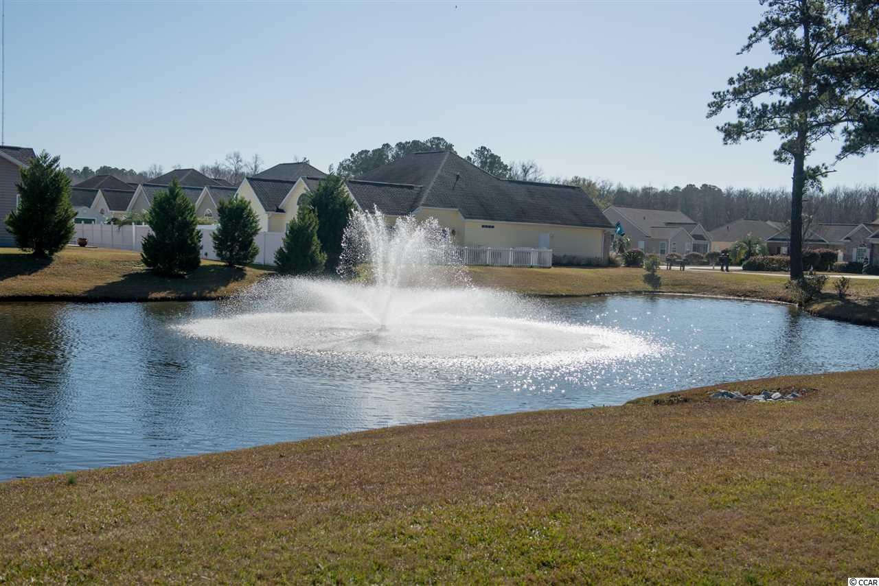 115 Fox Den Drive Murrells Inlet, SC 29576 - Photo 38 of 40 Gallery Image 38