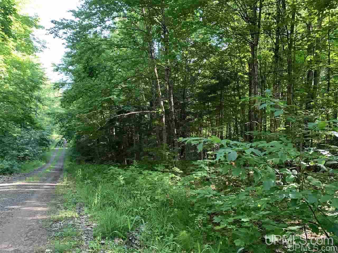 189 Orange Road Pelkie, MI 49958 - Photo 5 of 5