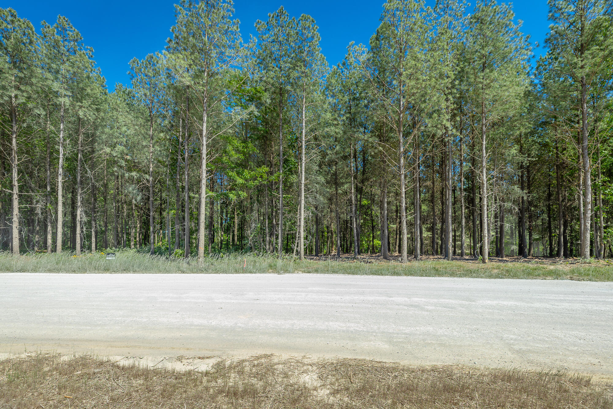 0 Split Rail Way, Unit 1349 Guild, TN 37340 - Photo 18 of 108 0 Split Rail Way - Lot 1349 HD-45
