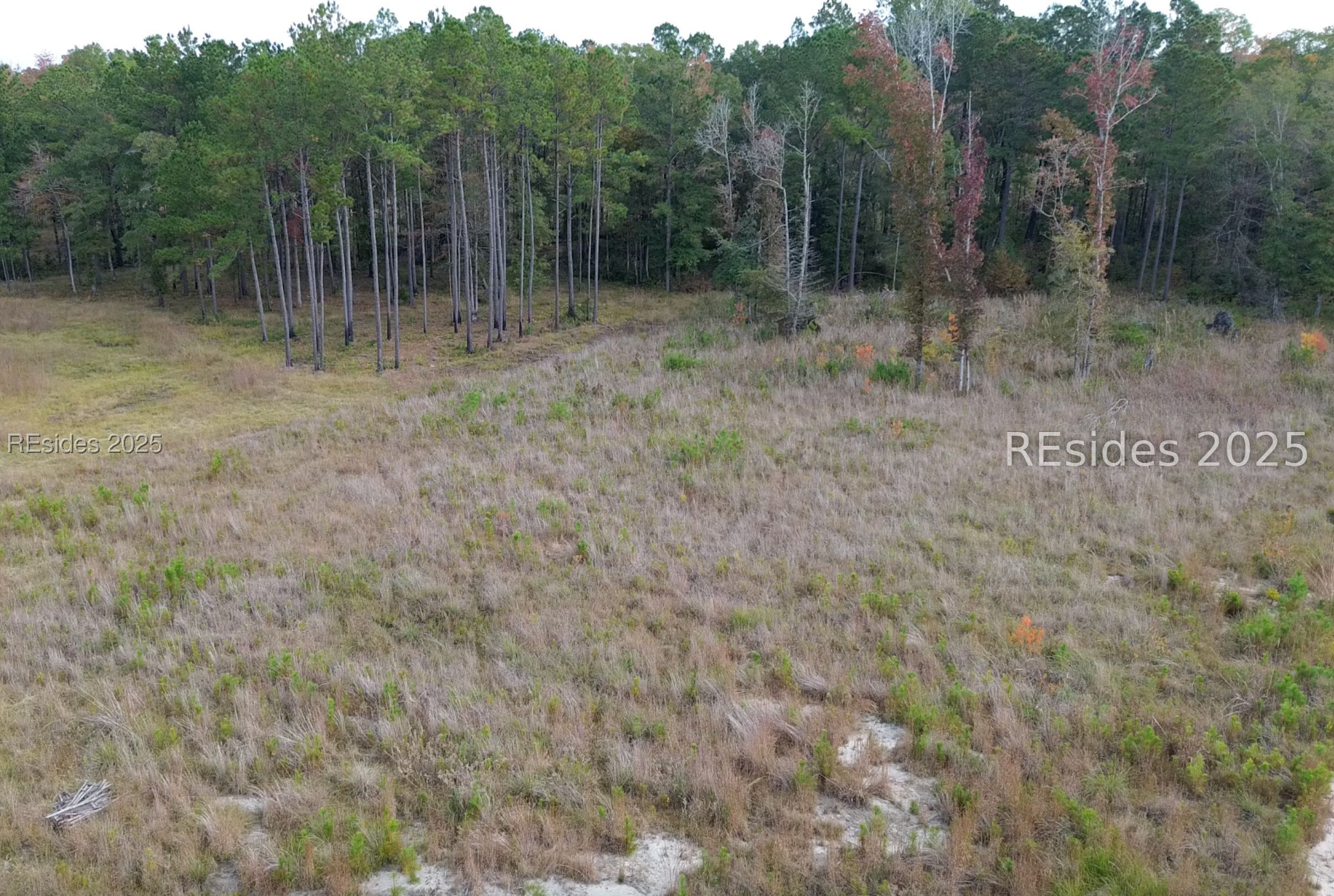 300 Sardis Road Ridgeland, SC 29936 - Photo 12 of 23