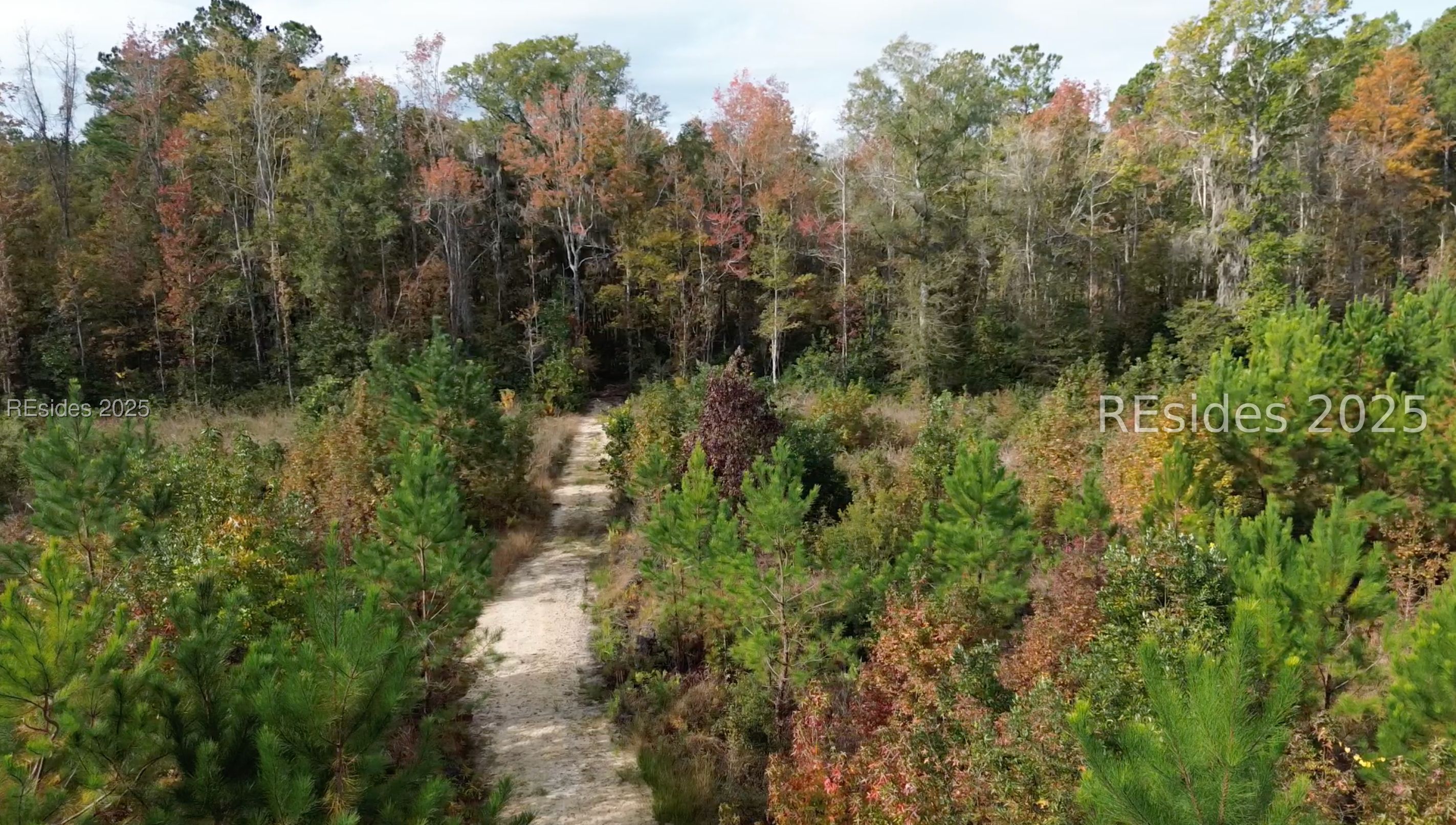 300 Sardis Road Ridgeland, SC 29936 - Photo 16 of 23