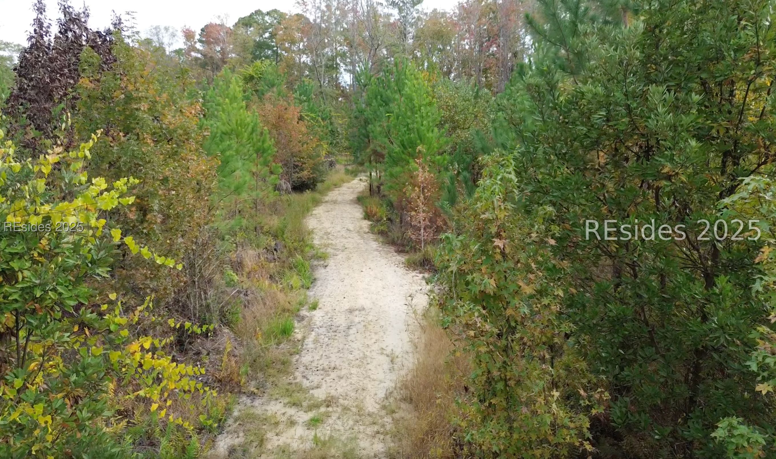 300 Sardis Road Ridgeland, SC 29936 - Photo 19 of 23