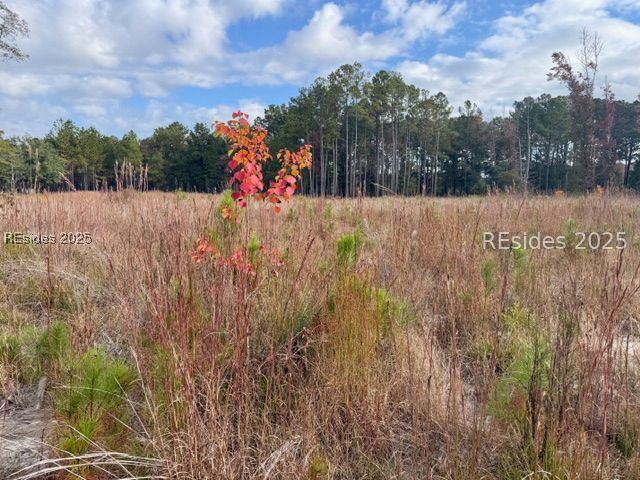 300 Sardis Road Ridgeland, SC 29936 - Photo 21 of 23