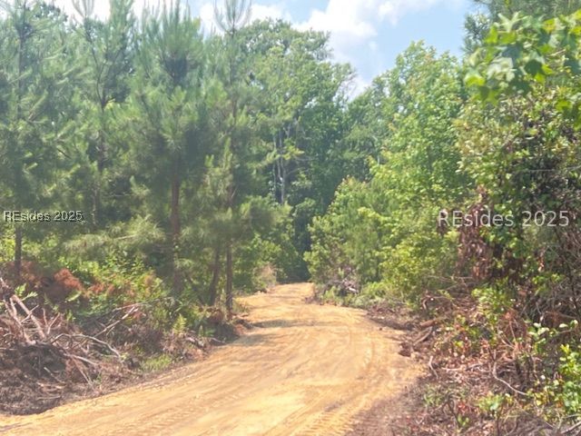 300 Sardis Road Ridgeland, SC 29936 - Photo 6 of 23