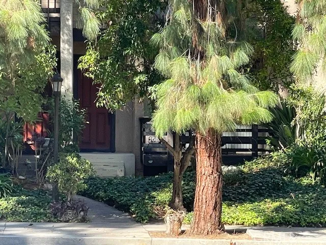 a front view of a house with a tree