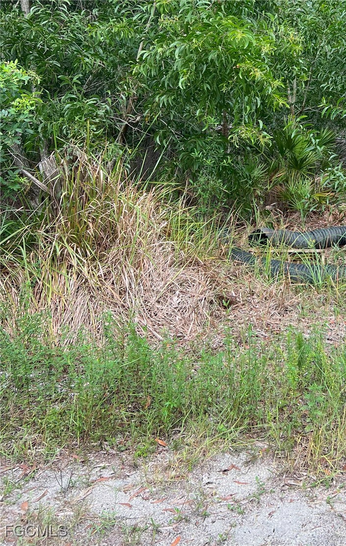 15514 Martinique Way Bokeelia, FL 33922 - Photo 2 of 6 a view of a yard with a tree