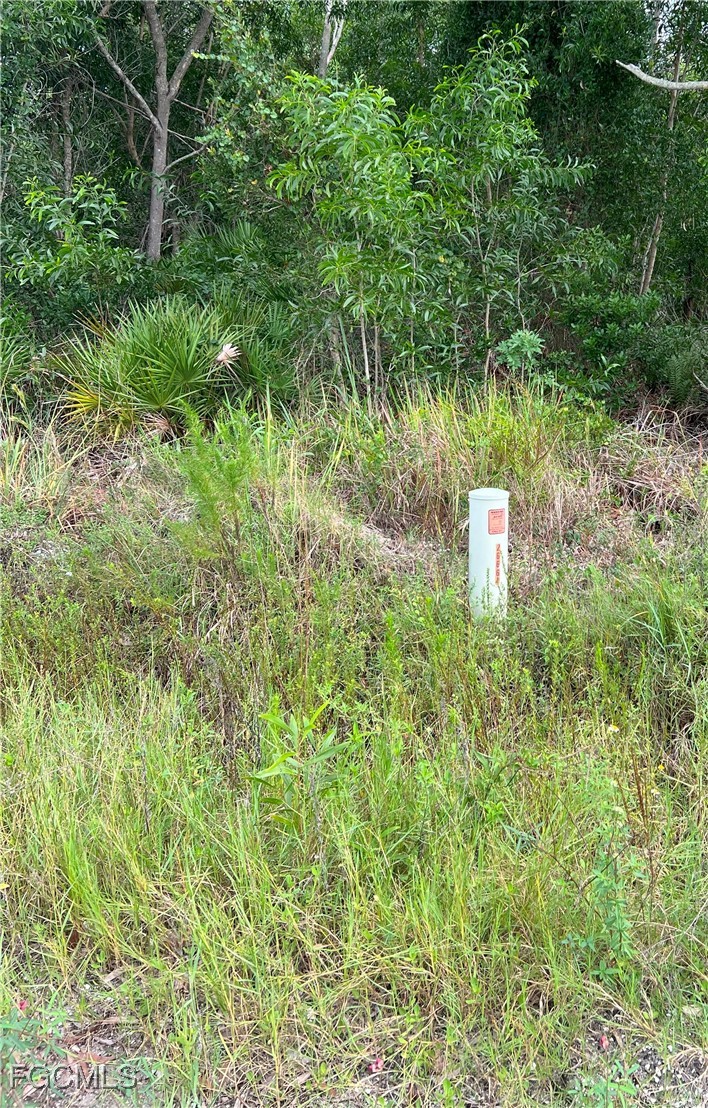 15514 Martinique Way Bokeelia, FL 33922 - Photo 3 of 6 a view of a back yard