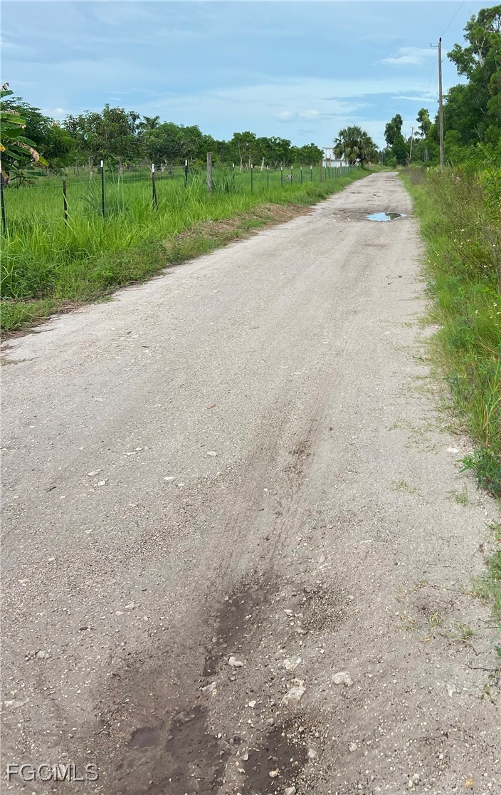 15514 Martinique Way Bokeelia, FL 33922 - Photo 4 of 6 a view of a road with a yard and large trees