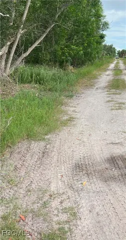 a view of a yard with a tree