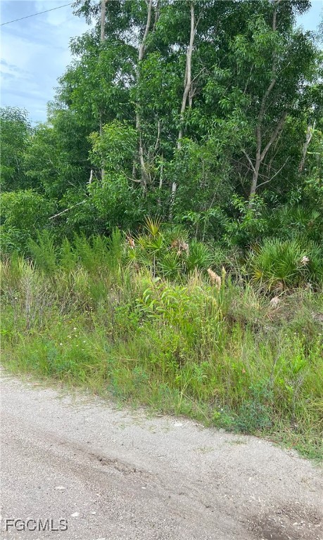 15514 Martinique Way Bokeelia, FL 33922 - Photo 6 of 6