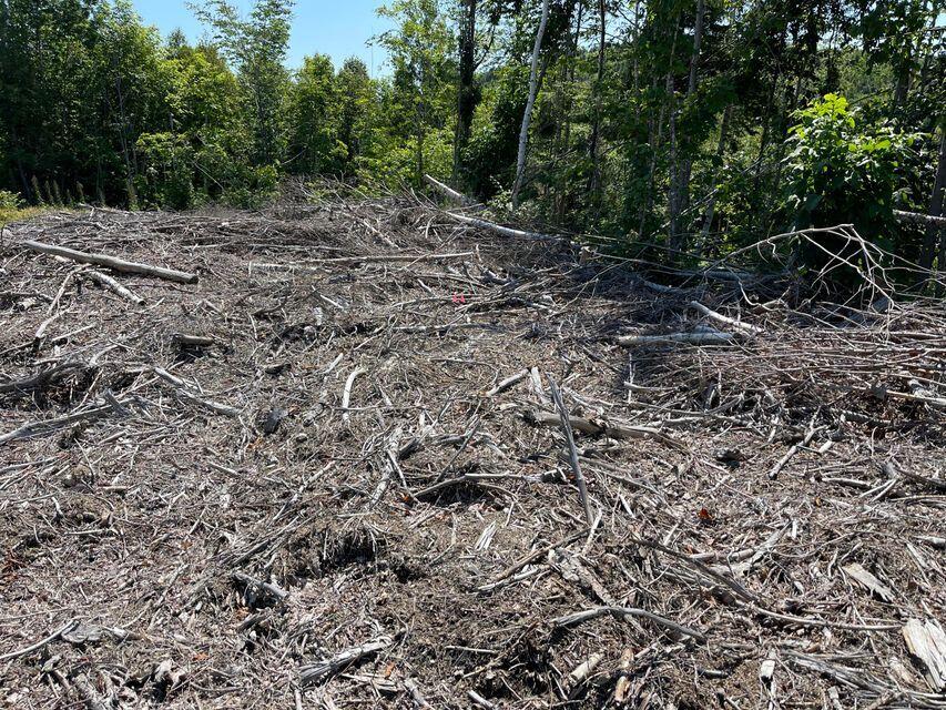 Lot 19 Upper Dobsis Road Lakeville, ME 04487 - Photo 6 of 11 5