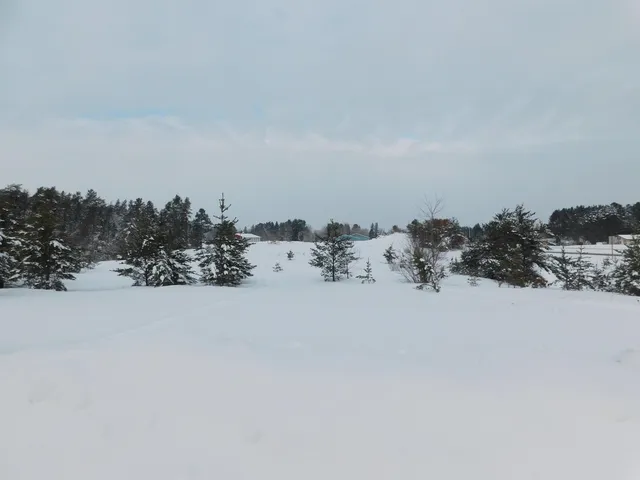 $40,000 | 144-xx South Snowberry Lane, Gordon, WI 54838