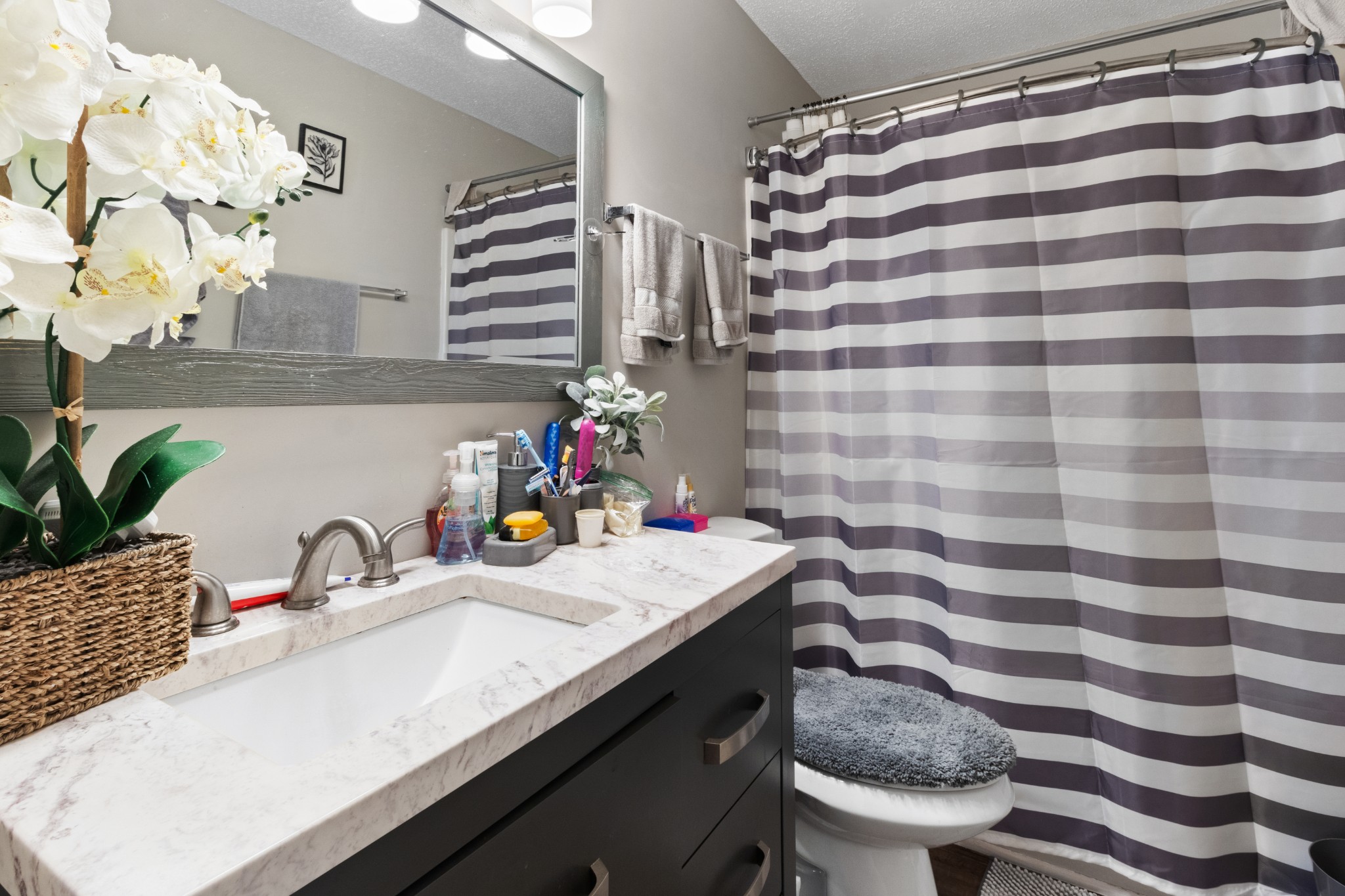607 Avondale Road Oak Grove, KY 42262 - Photo 24 of 32 a bathroom with a sink toilet and a mirror