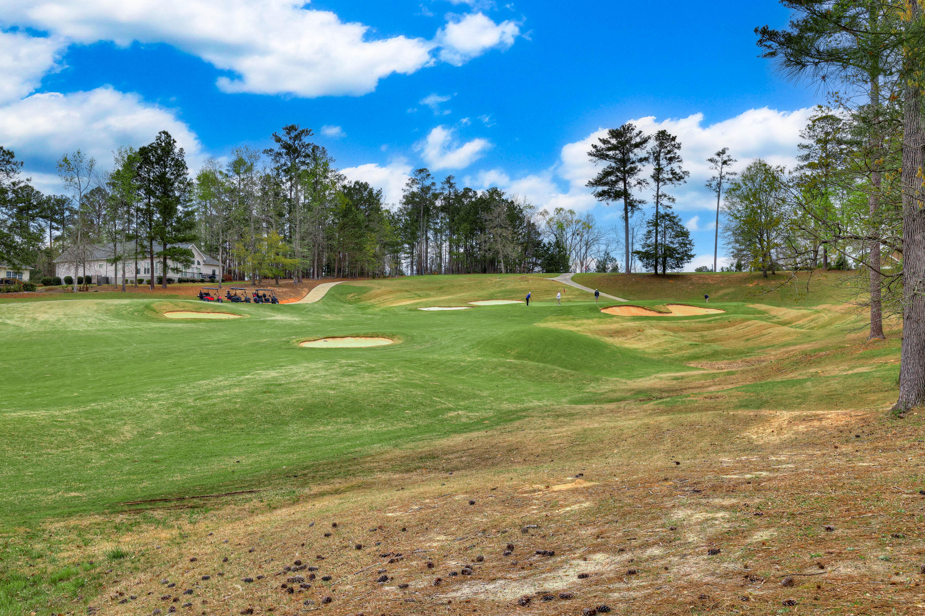 309 Oreda Place McCormick, SC 29835 - Photo 62 of 76 63-162
