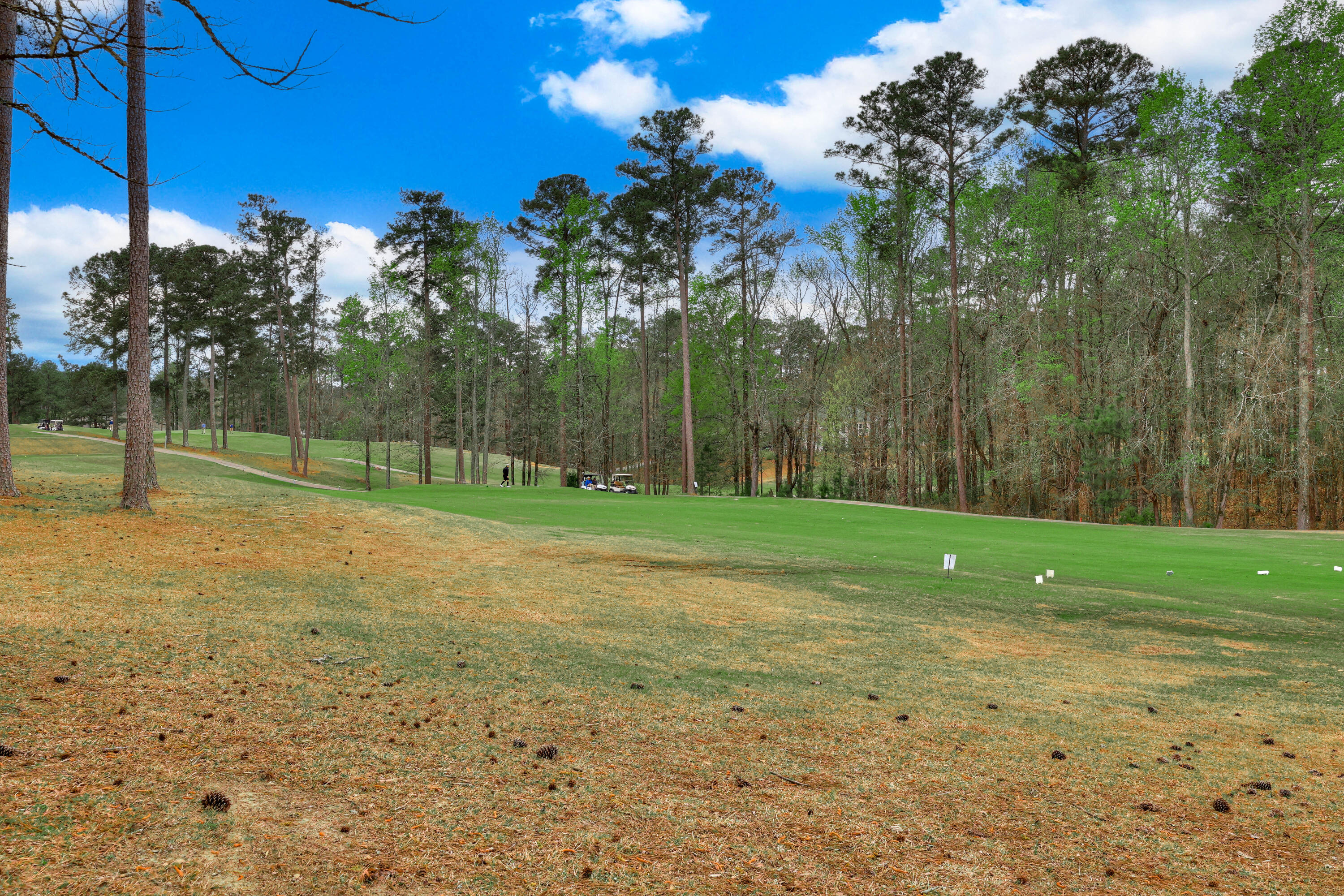 309 Oreda Place McCormick, SC 29835 - Photo 63 of 76 64-163