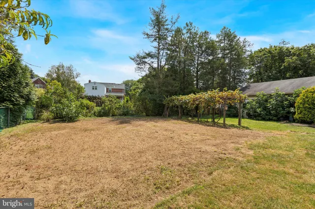 a view of dirt field with large trees