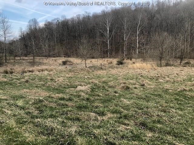 1576 Big Run Road Le Roy, WV 25252 - Photo 6 of 6 Gallery Image 6
