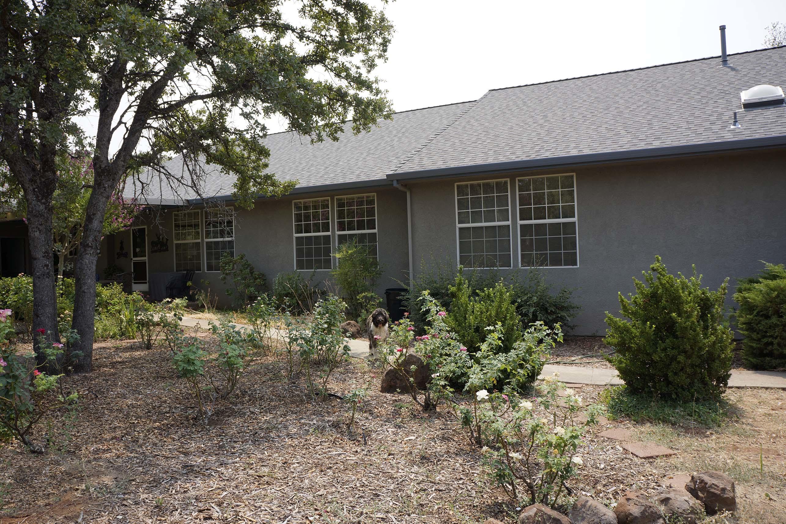 27054 Dersch Road Shingletown, CA 96088 - Photo 11 of 75 Backyard View 2