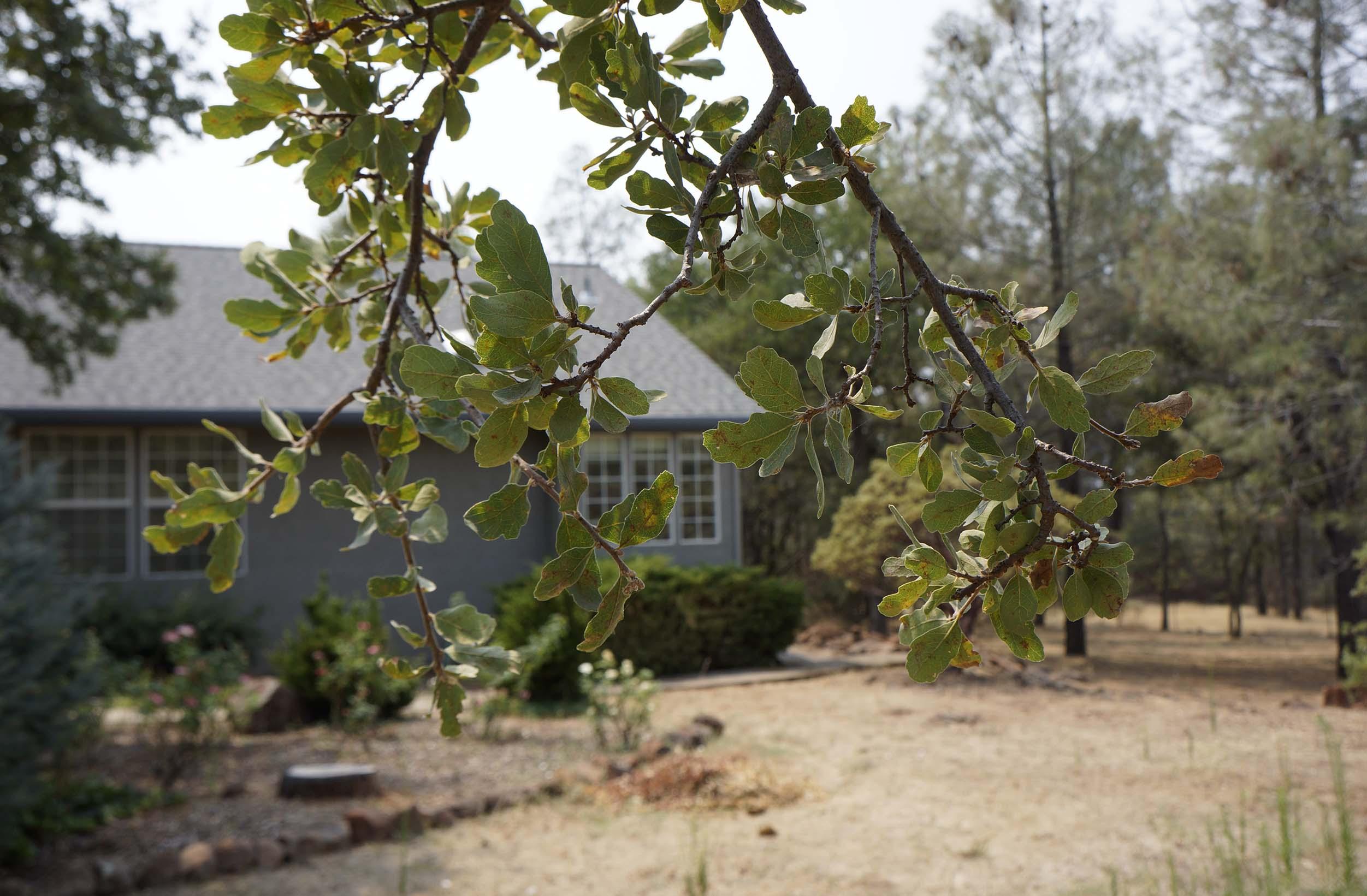 27054 Dersch Road Shingletown, CA 96088 - Photo 16 of 75 House View 2