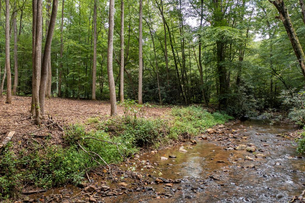 1034 Chestnut Flts Road Andrews, NC 28901 - Photo 23 of 43 Gallery Image 23