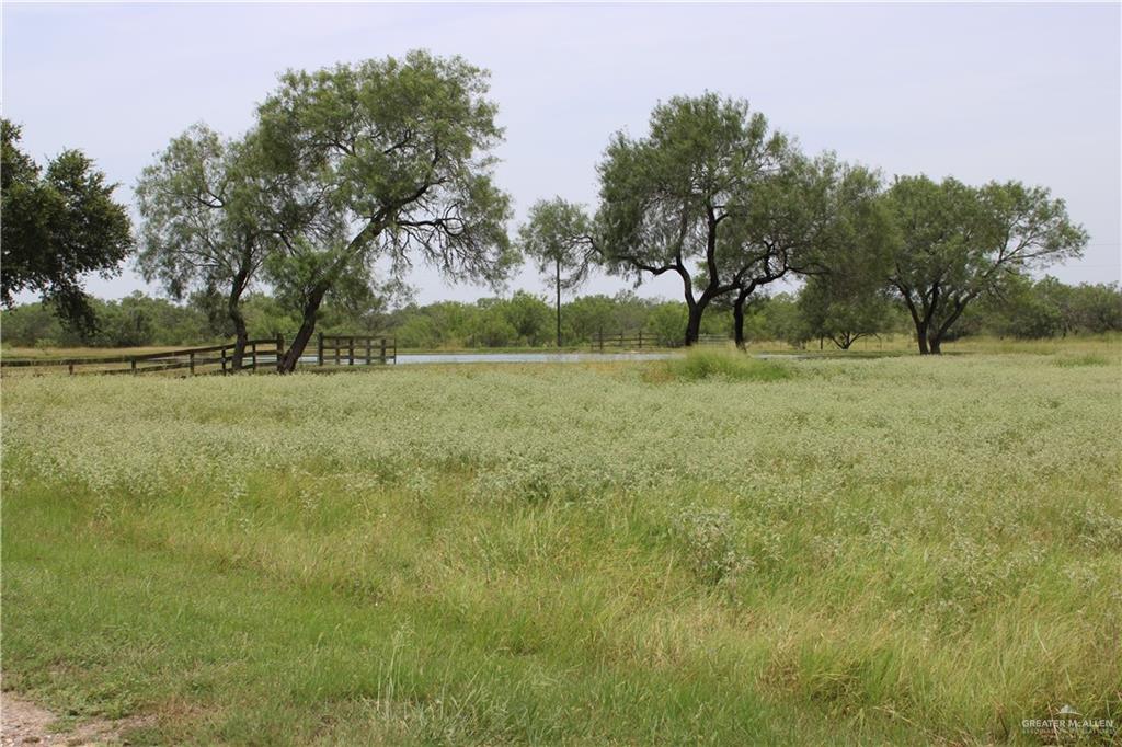 412 Cr 412 Road Falfurrias, TX 78355 - Photo 8 of 33