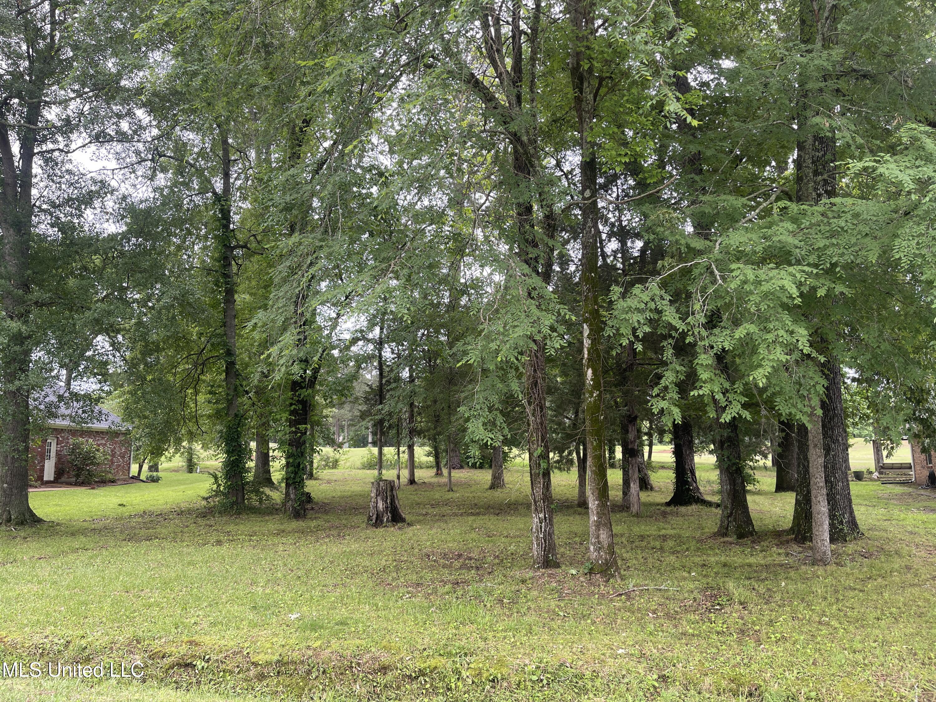 803 Oak Trail Canton, MS 39046 - Photo 2 of 3 IMG_7472