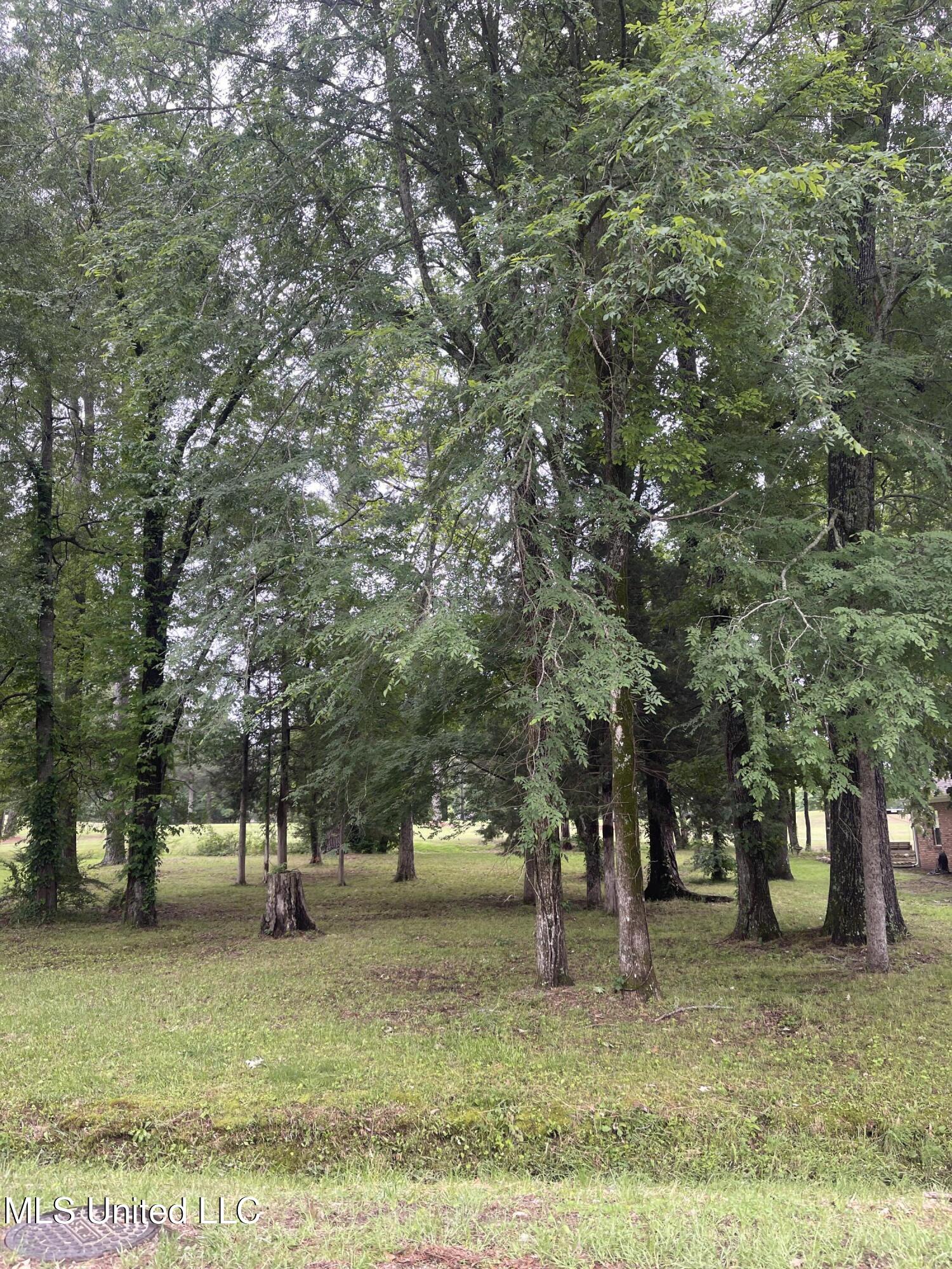 803 Oak Trail Canton, MS 39046 - Photo 3 of 3 IMG_7471