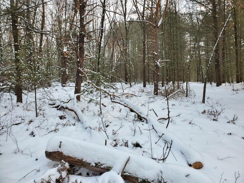 0 North Centerline Road Brohman, MI 49312 - Photo 2 of 2