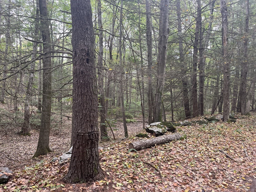 0 Old World Road Deerfield, MA 01342 - Photo 2 of 6 Gallery Image 2
