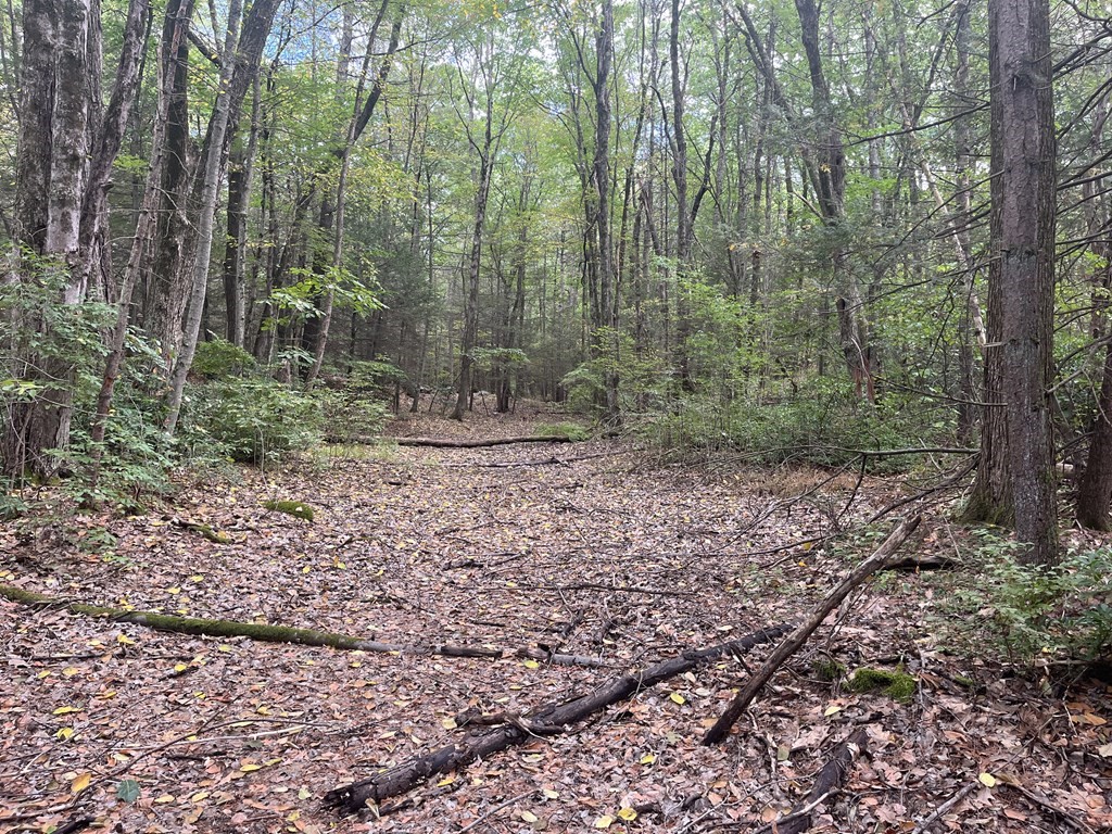 0 Old World Road Deerfield, MA 01342 - Photo 3 of 6 Gallery Image 3