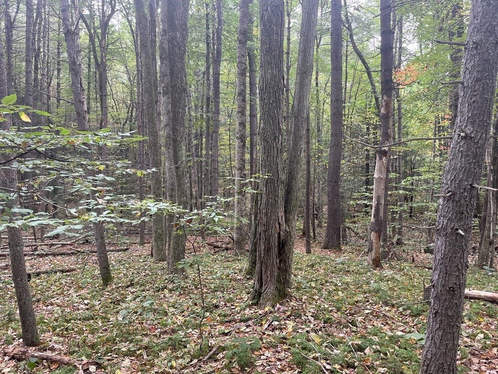 0 Old World Road Deerfield, MA 01342 - Photo 4 of 6 Gallery Image 4