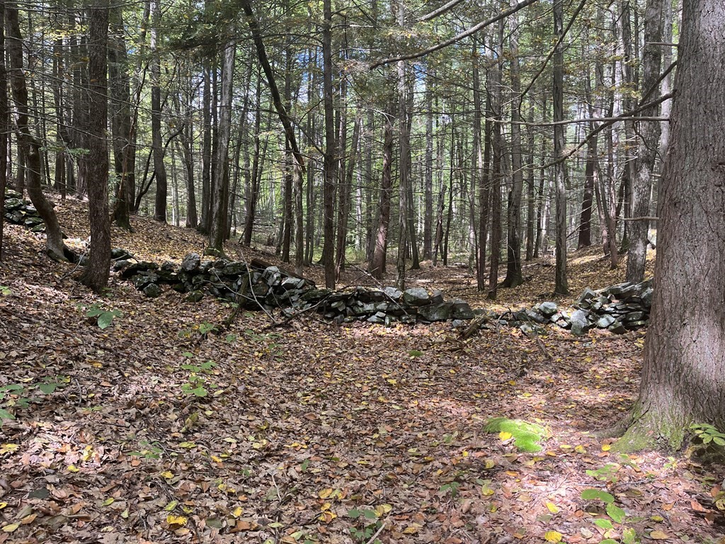 0 Old World Road Deerfield, MA 01342 - Photo 6 of 6 Gallery Image 6
