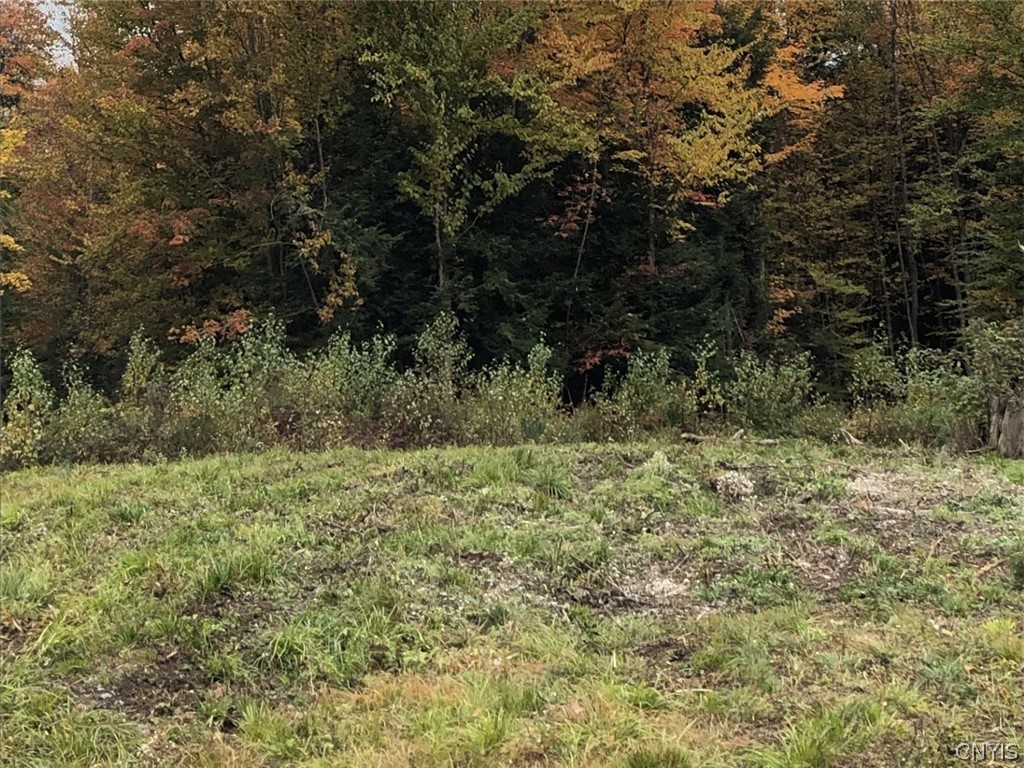 6919 Austin Road Glenfield, NY 13343 - Photo 13 of 28 clearing