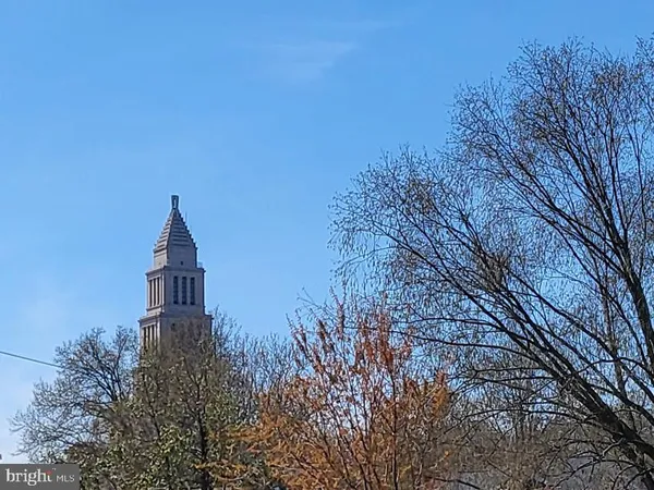 a view of a city with tall trees