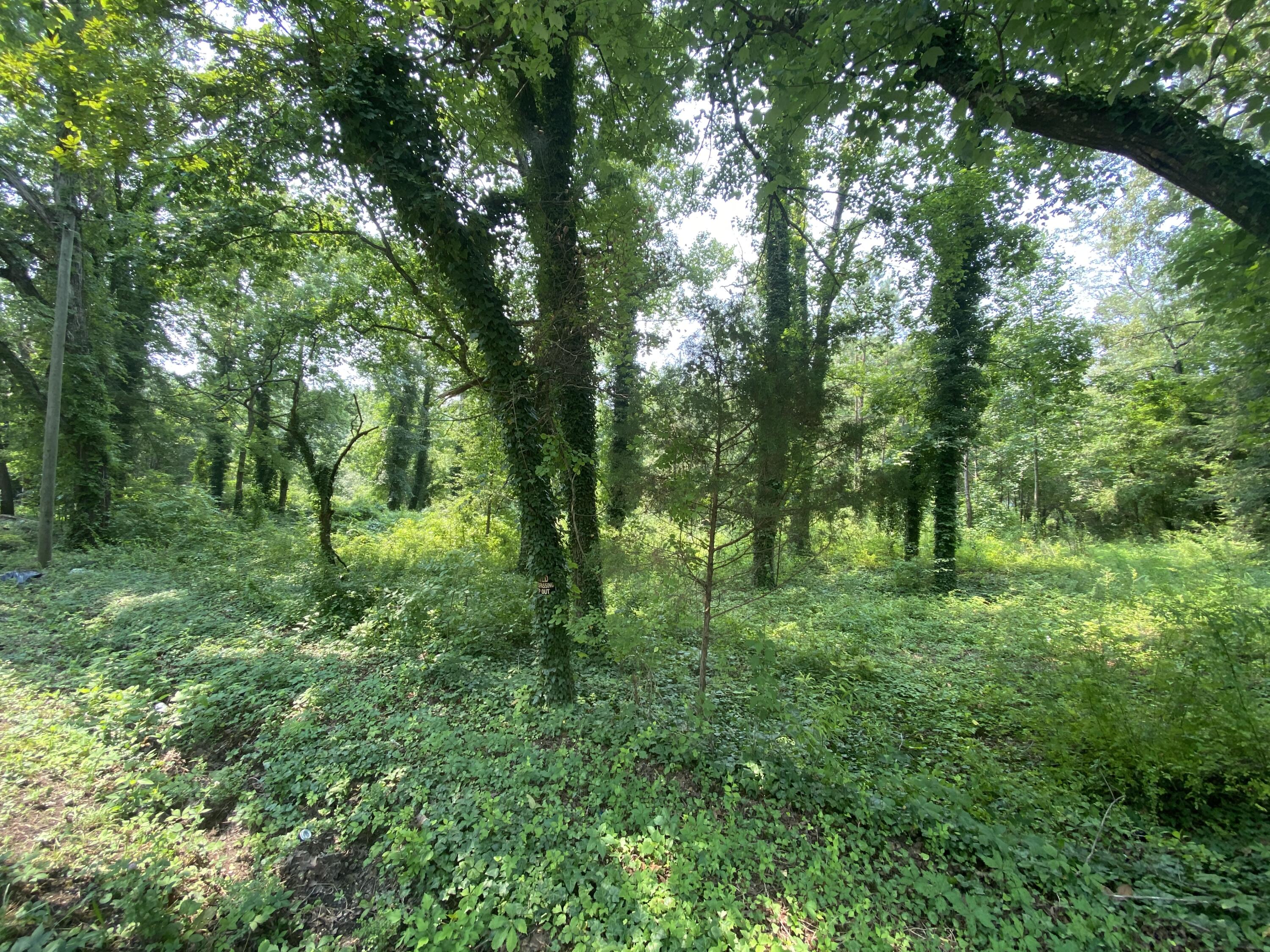 1520 Crabtree Road Hixson, TN 37343 - Photo 2 of 8 92417A4B-EABF-4A1A-BDFE-D7F914BC5606