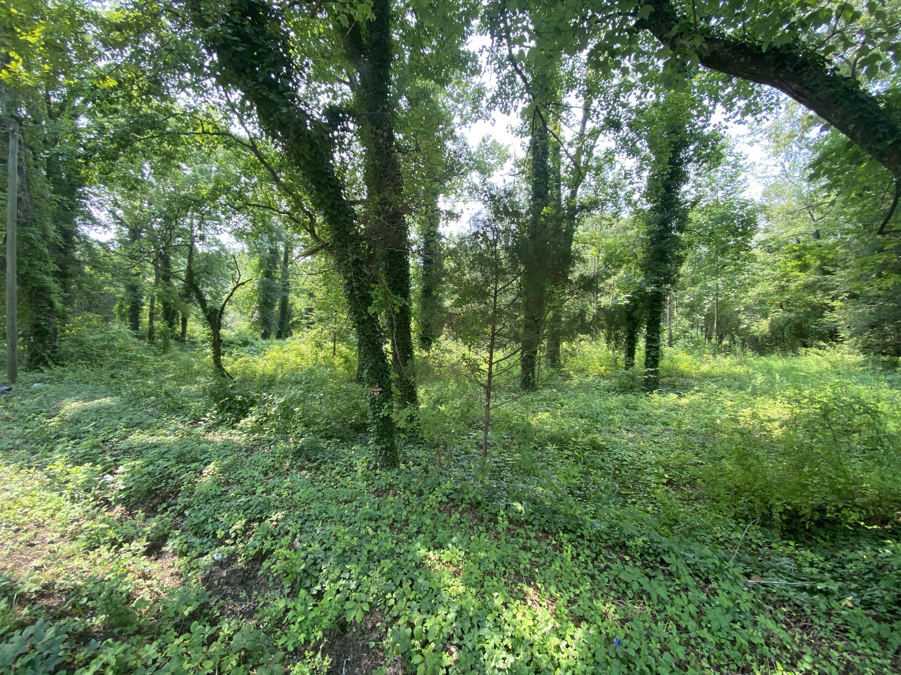 1520 Crabtree Road Hixson, TN 37343 - Photo 7 of 8 335BCC81-A041-4729-A832-A12E889E177F
