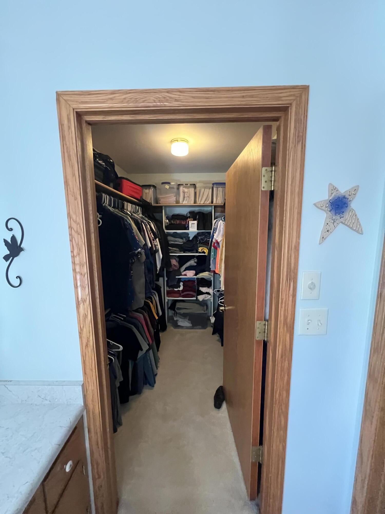 W253-s10980 Hunters Run Mukwonago, WI 53149 - Photo 13 of 30 Primary Bedroom Walk-In Closet