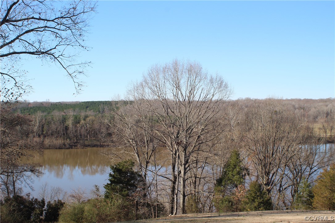 1519 Riverview Road Maidens, VA 23102 - Photo 4 of 10 Across river