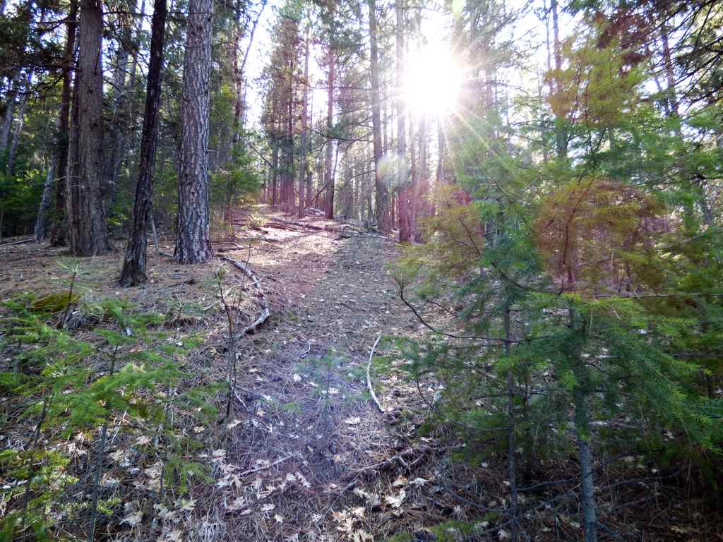 0 Greenhorn Road Yreka, CA 96097 - Photo 3 of 17 Gallery Image 3