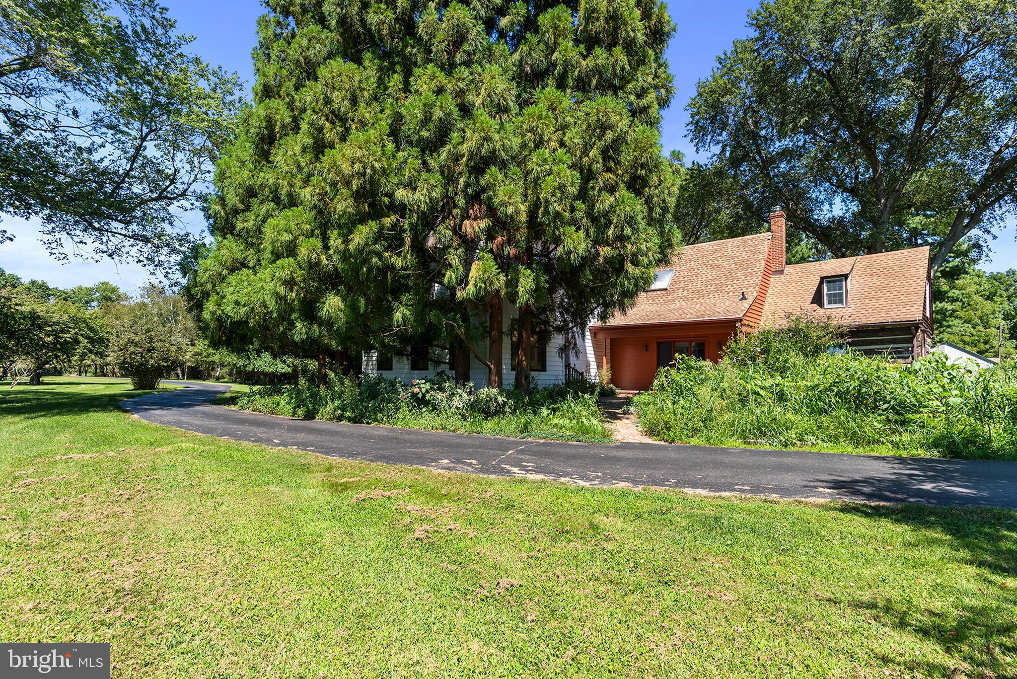 8293 Brices Mill Road Chestertown, MD 21620 - Photo 13 of 59 a view of a backyard with plants and large trees