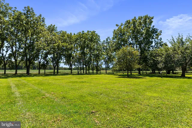a view of outdoor space