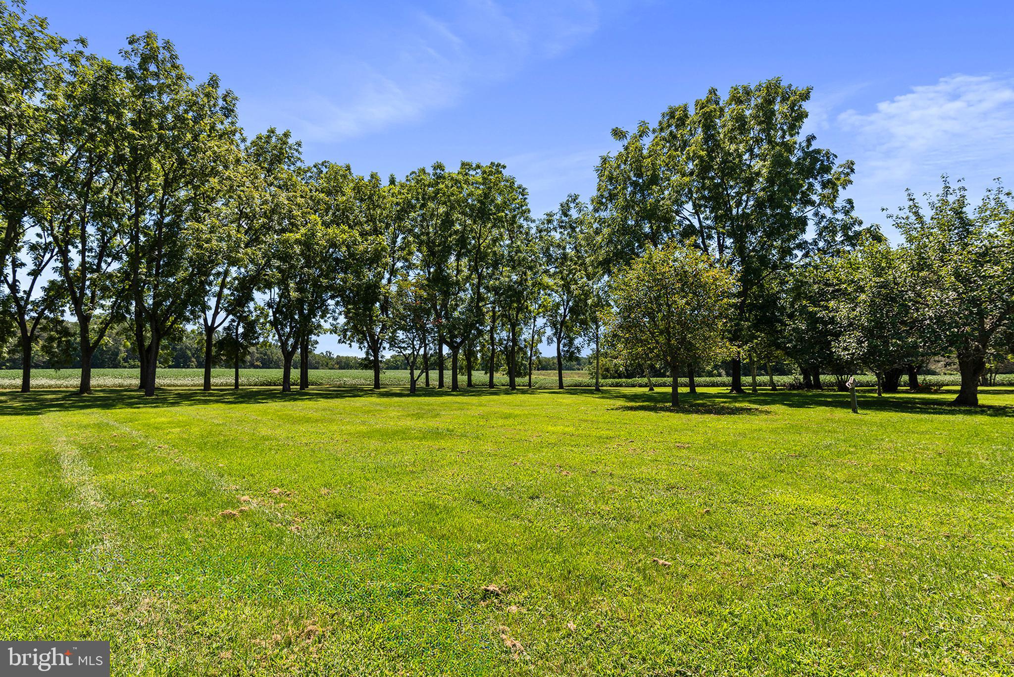 8293 Brices Mill Road Chestertown, MD 21620 - Photo 6 of 59 a view of outdoor space